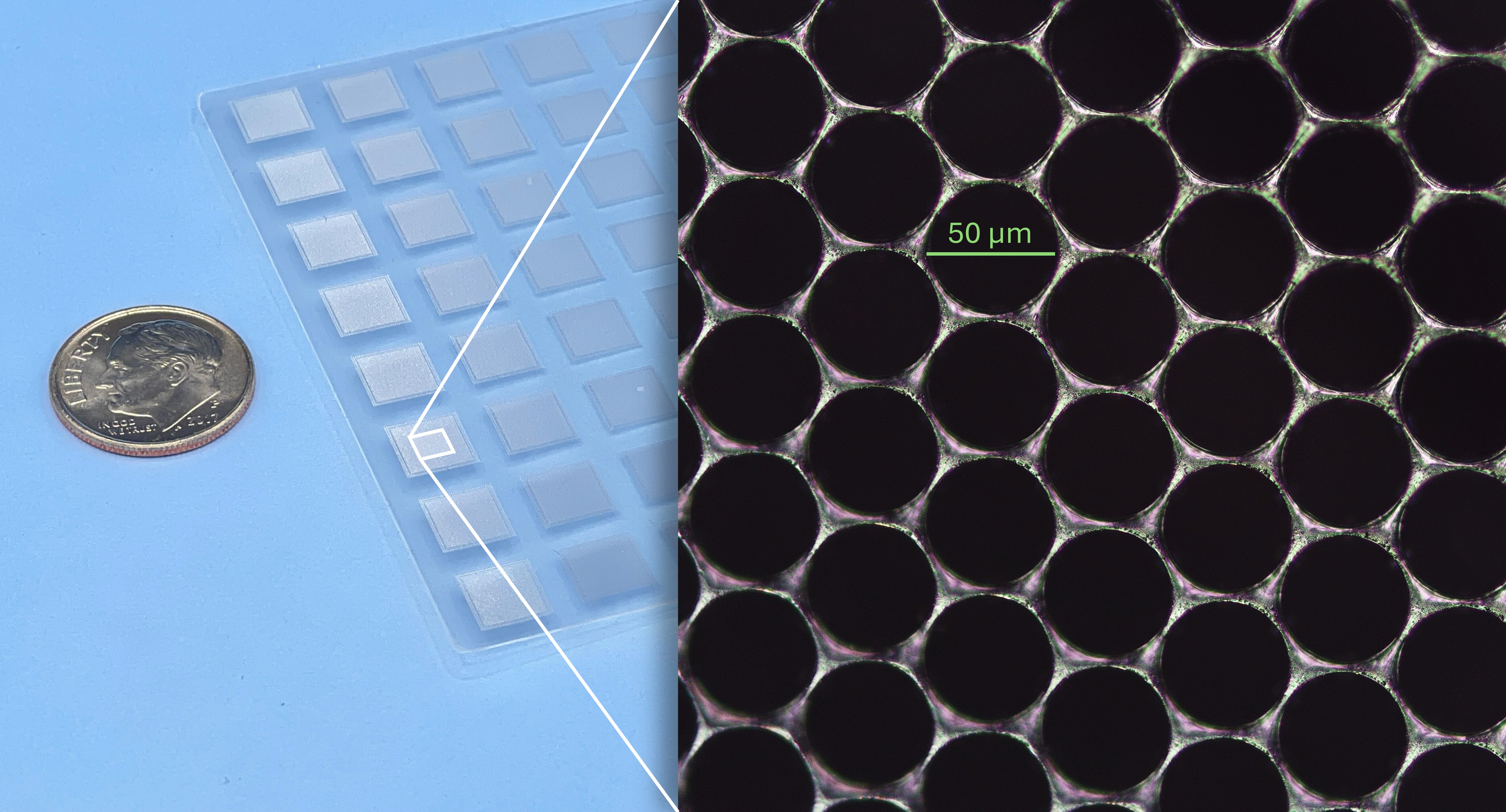 micropore filter image 